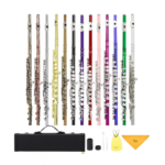 SLADE 16 Closed Holes Flute C Key Cupronickel Concert Transversal Flute Flute Woodwind Instrument With E Key Case Accessories